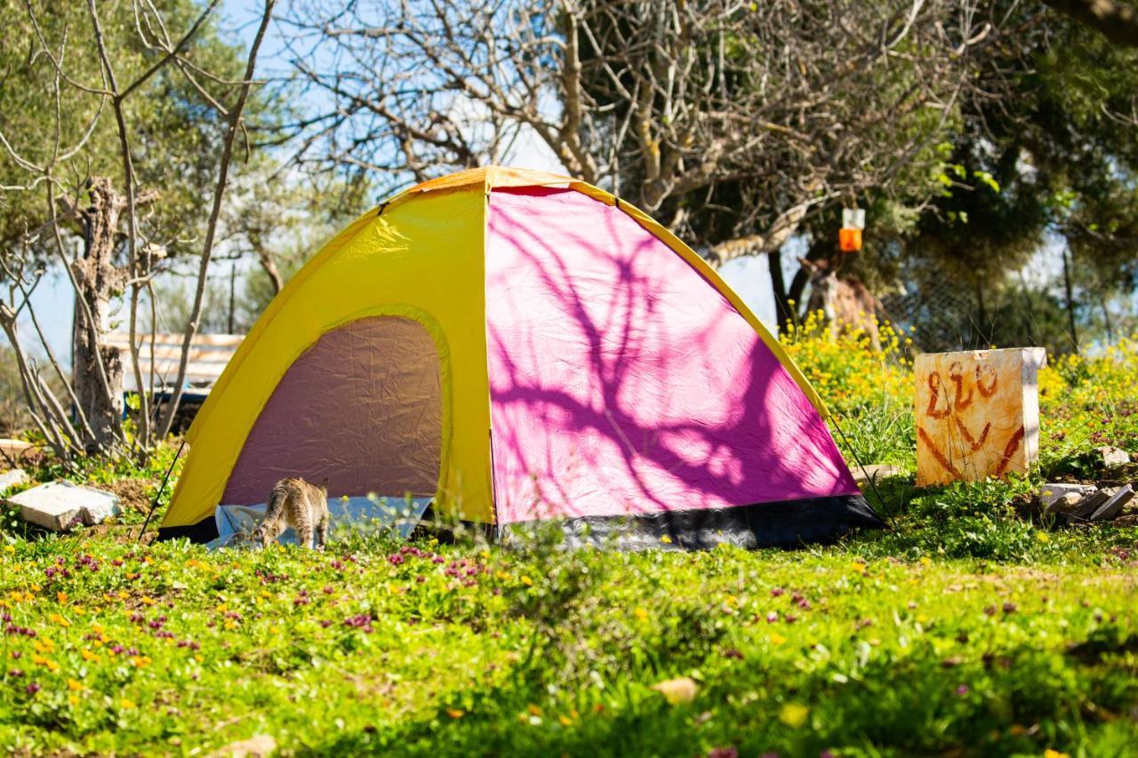 Camping Panorama Hotel Ouazzane Exterior photo